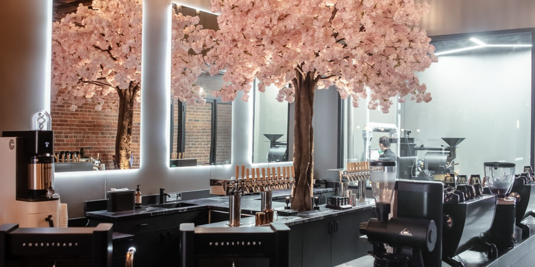 How Cafes Can Thrive Amid the Economic Crisis in Australia