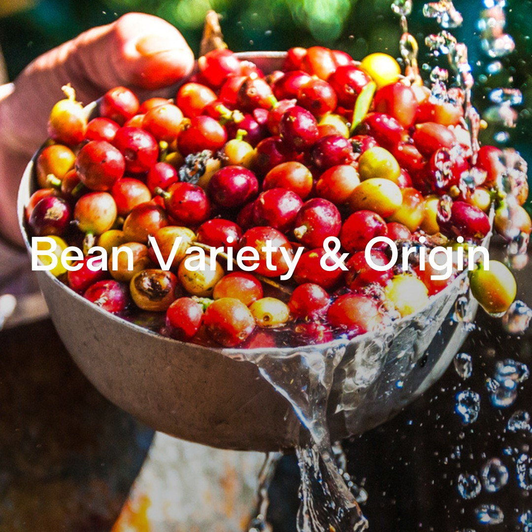 From Bean to Cup: The Journey of Your Morning Coffee