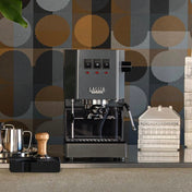 Gaggia Classic Evo Coffee Machine